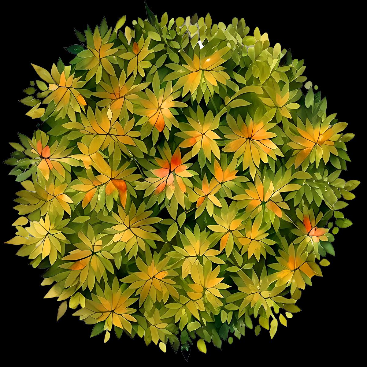 Tree Top View and Plan PNG Templates for Landscape Design | Digital ...