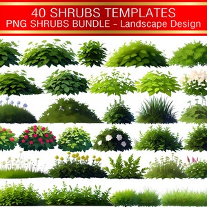 Shrubs PNG Clipart | Landscape Greenery Plant Illustrations for Garden & Design Projects (Digital Download)