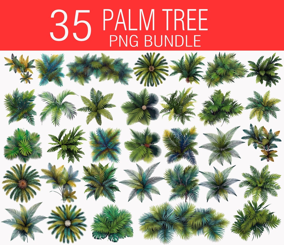 Palm Tree Bundle, Palm Tree Stamps, Landscape Tree Symbols, Custom