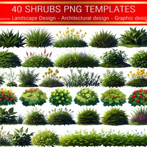 Landscape Shrubs PNG Clipart | 40 Greenery Plant Illustrations for Garden & Landscape Design (Digital Download)