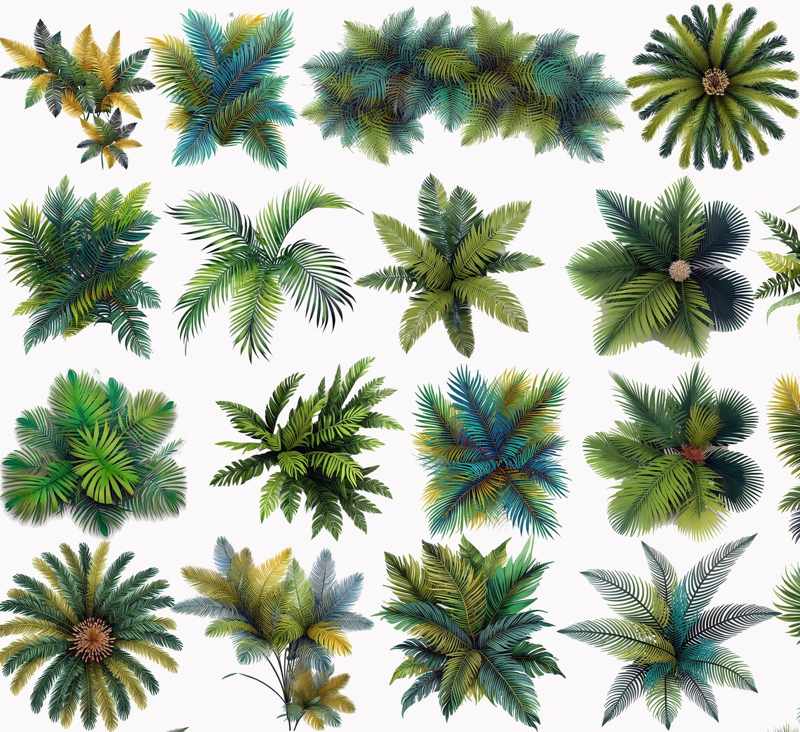 Palm Tree Bundle, Palm Tree Stamps, Landscape Tree Symbols, Custom