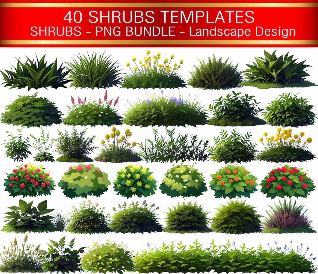 Shrubs Raster Image Collection of Shrubs PNG, Shrubs Digital Greenery, Summer Plant PNG ...
