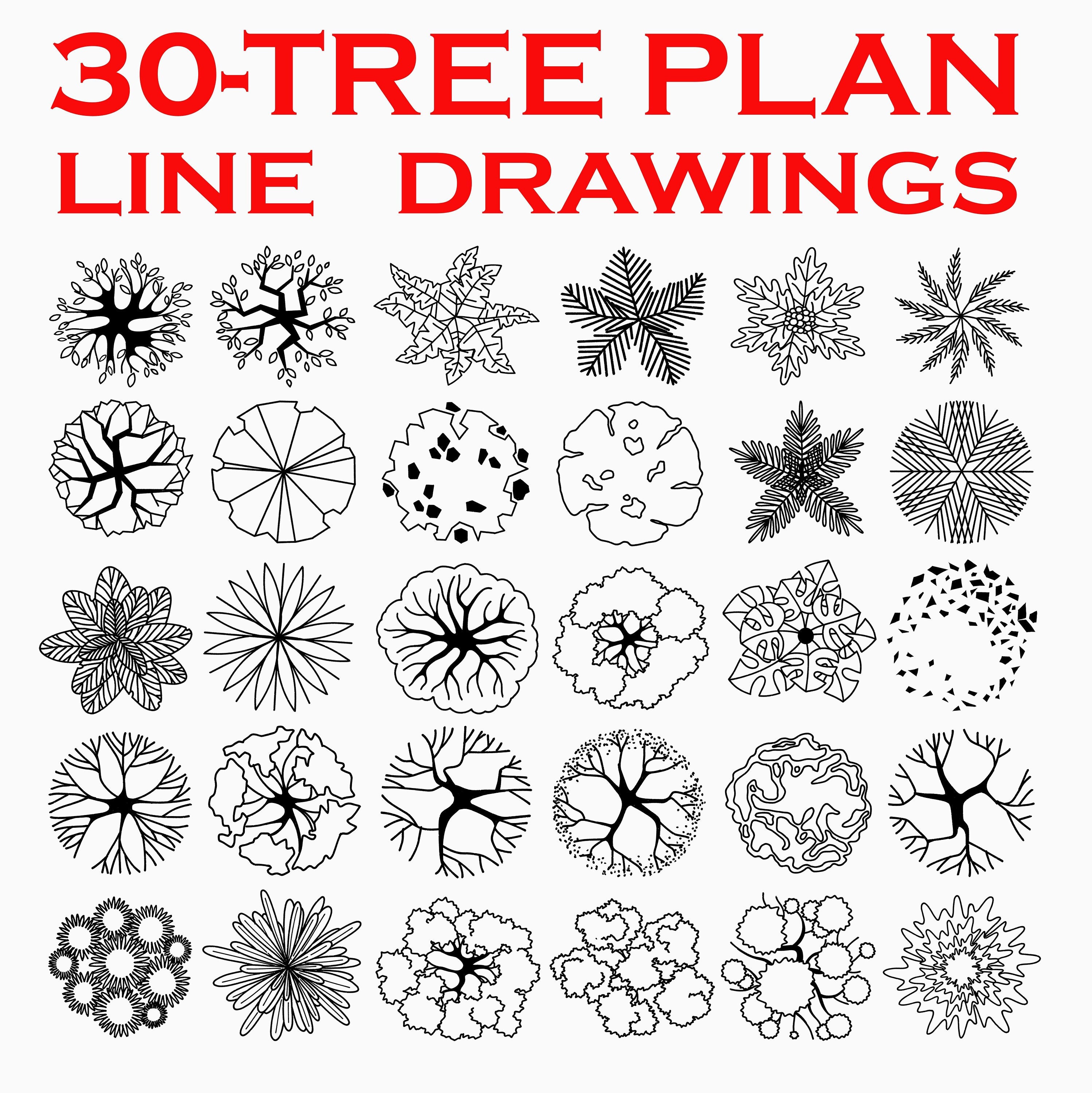 Landscape Tree Plan Line Drawings, Landscape Design Templates, Custom