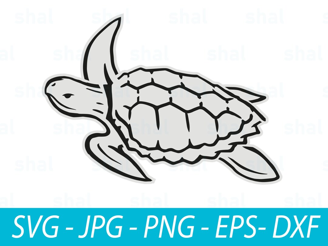 Simple Sea Turtle SVG, Turtle PNG, Svg Files for Cricut, Animal Svg ...