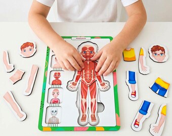 Houten anatomiepuzzel: Montessori-leerspeelgoed voor het menselijk lichaam
