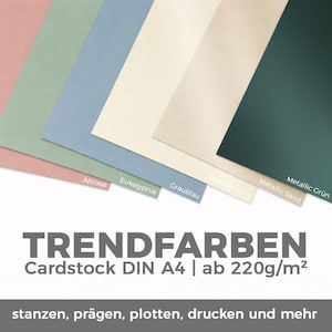 Cardstock Trendfarben - Bastelpapier Premium