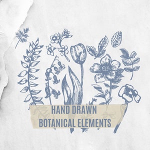 Könnte beinhalten: Handgezeichnete botanische Elemente in blauer Tinte auf weißem Hintergrund. Die Illustration zeigt eine Vielzahl von Blumen, Blättern und Stielen, darunter Tulpen, Lilien und Stiefmütterchen.