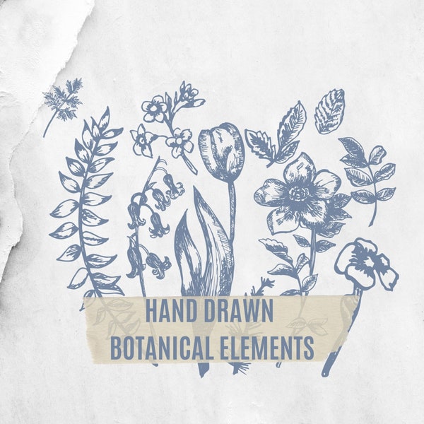 Botanical PDF Bundle, Fine Line Florals png-svg-pdf-aı, Hand Drawn Botanical PDF, Digital Botanical PNG, Flowers Clipart, Digital Clipart