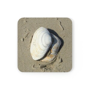Seashell Glossy Coasters Set of 4