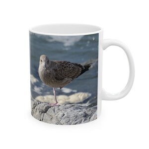 Herring Seagull Bird on Rock Ceramic Mug