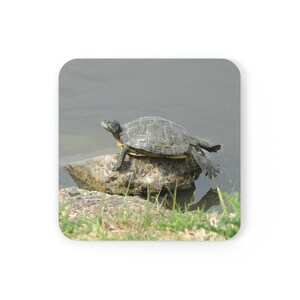 Red-eared Slider Turtle Glossy Coasters Set of 4
