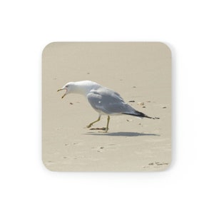Squawking Seagull Glossy Coasters Set of 4