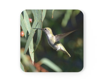 Hummingbird Flying Glossy Coasters Set of 4