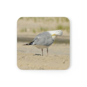 Preening Seagull Glossy Coasters Set of 4