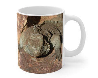 Iguana Reptile Basking in Sun Mug 11oz