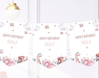 May include: A pink and white dinosaur birthday banner with the text "Happy Birthday Holly" repeated three times. The banner features pink and brown dinosaurs, clouds, and stars.