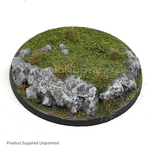 Può includere: Base per miniature rotonda, non verniciata, con superficie strutturata. Il bordo roccioso presenta vegetazione verde e ciuffi d'erba. Progettato per miniature.