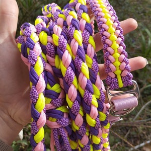 Braided dog leash
