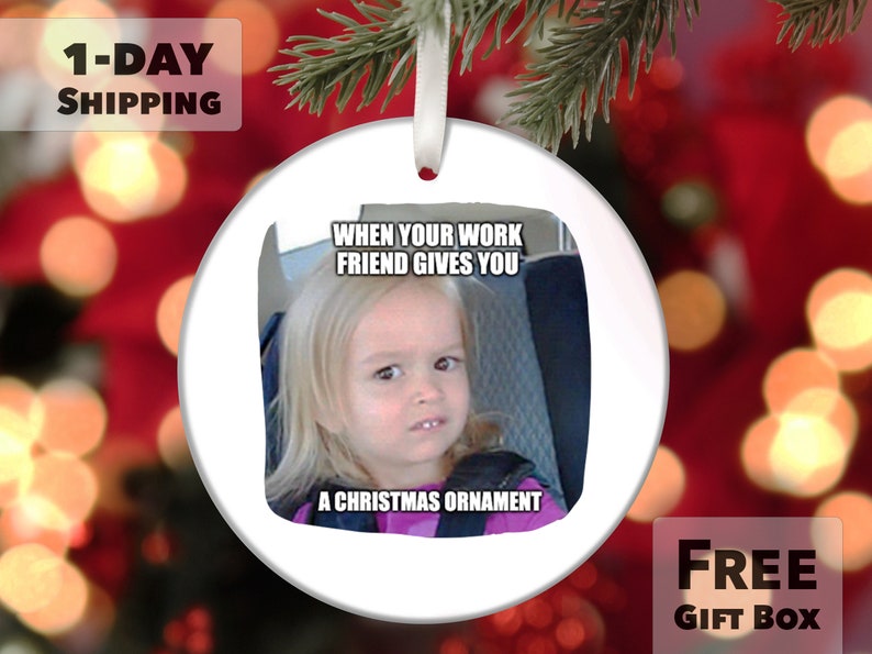 Funny Christmas Ornament Coworker Ornament White Elephant Etsy