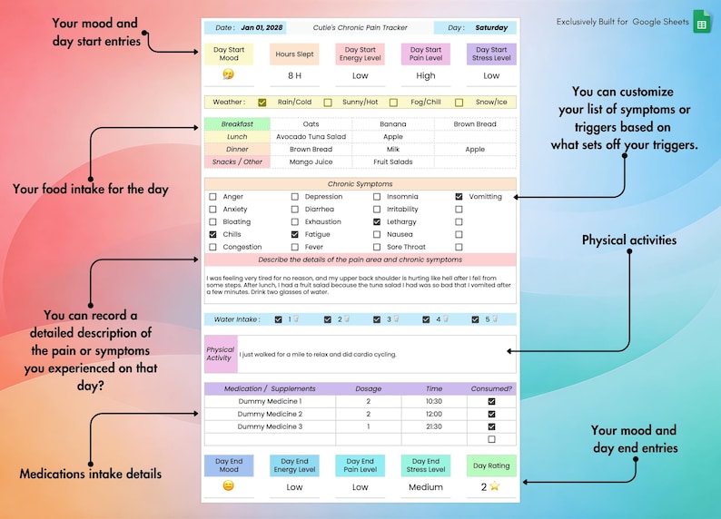 Chronic Pain & Symptom Tracker for Google Sheets, Track Mood, Sleep, Stress Level, Energy Level,