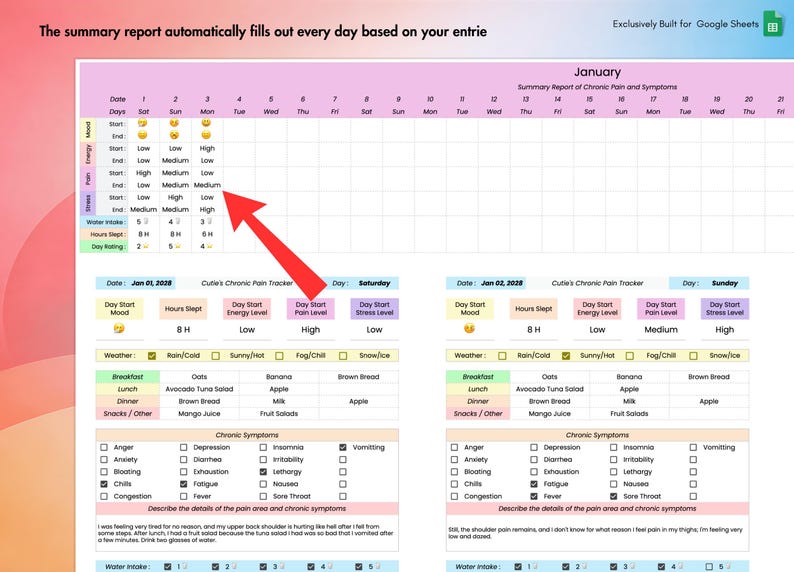 Chronic Pain & Symptom Tracker for Google Sheets, Track Mood, Sleep, Stress Level, Energy Level,