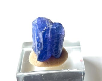 May include: A vibrant blue tanzanite crystal specimen. The gemstone is mounted on a small, beige-colored base and encased in a clear, rectangular display block. The tanzanite has a rough, natural texture and a deep, saturated color.