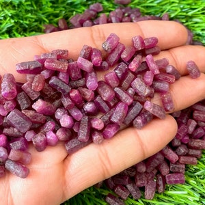 May include: A close-up of a hand holding a large quantity of small, rough, red ruby crystals. The crystals are all different shapes and sizes, but they are all a deep red color.