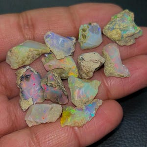 May include: A collection of rough opal gemstones in various sizes and shapes. The opals are a mix of white, gray, and brown with iridescent flashes of color.