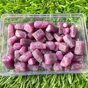 Puede incluir: Un recipiente de plástico transparente lleno de piedras preciosas de rubí en bruto y sin cortar. Los rubíes son de color rojo rosado intenso y tienen un aspecto rugoso y texturizado. El recipiente está sobre hierba verde.