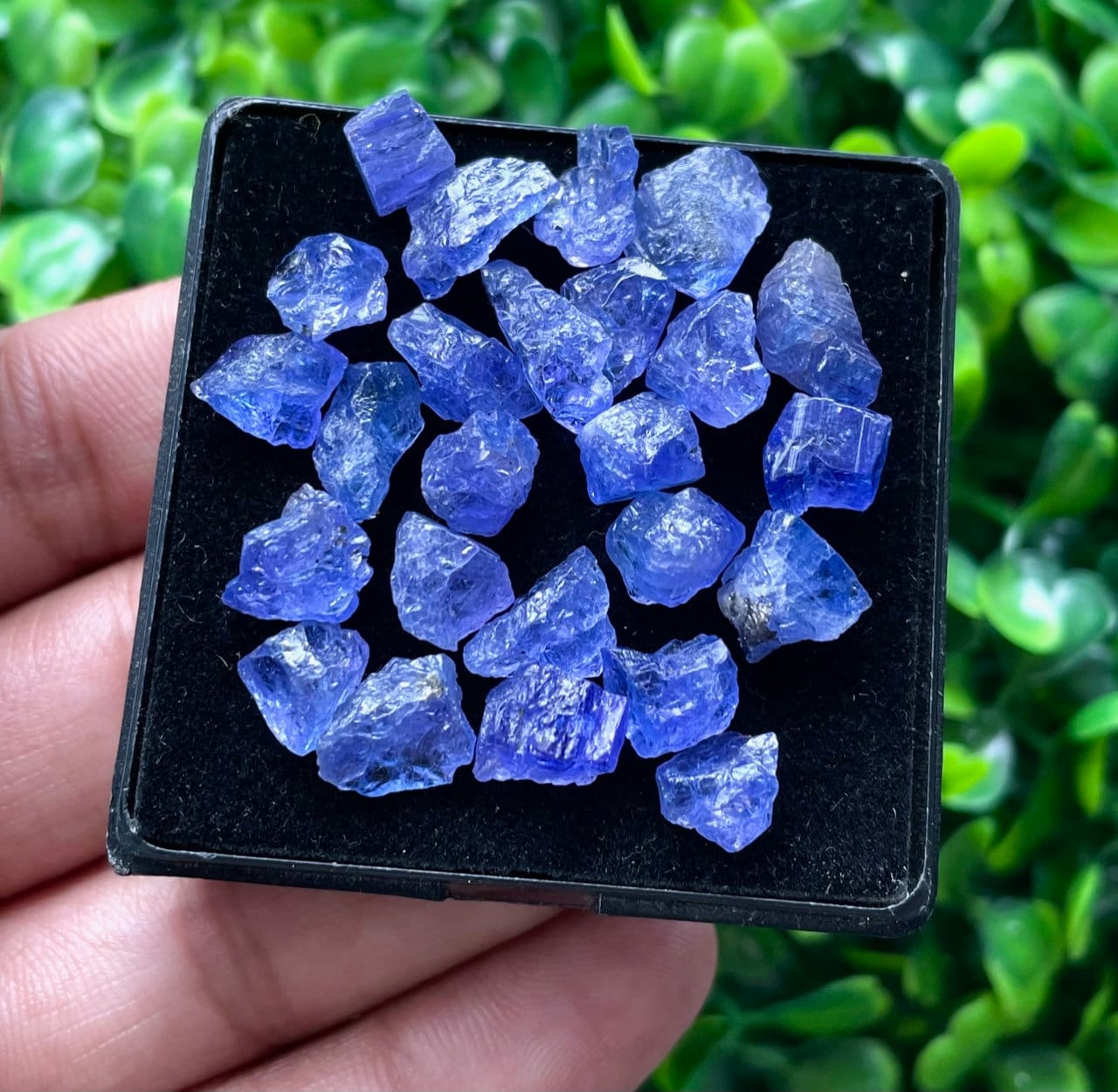 25 PCS Lot AAA+ Blue Raw Tanzanite 7-10 MM Rough Gemstone