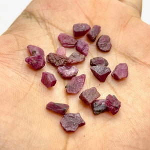 May include: A collection of rough-cut ruby gemstones in varying sizes and shapes. The gemstones display a deep red hue with some areas appearing darker. The raw ruby crystals are held in a hand, showcasing their natural, unpolished state.