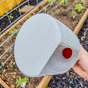 May include: A light gray, cylindrical garden plant protector with a red sphere visible inside. The protector is held over a garden bed with young plants and a wooden border.