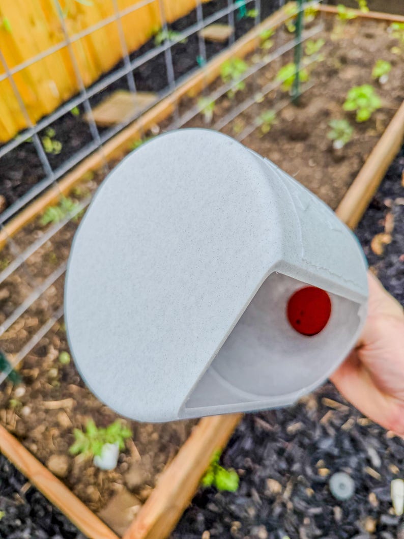 May include: A light gray, cylindrical garden plant protector with a red sphere visible inside. The protector is held over a garden bed with young plants and a wooden border.