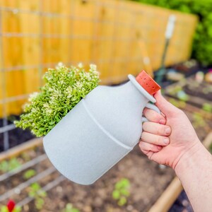 May include: A light blue ceramic watering can with a handle and a red-orange cork-like stopper. The watering can is filled with green and white foliage. The background shows a wooden fence and a garden.