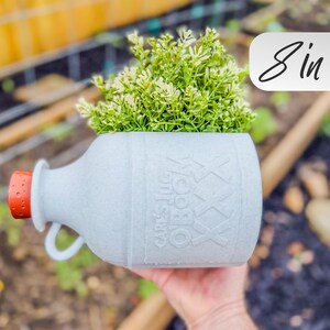 May include: A gray, bottle-shaped planter with a red cap, filled with green and white foliage. The planter has the text "CARES JUG OBOOM" and "XXX" on its side. The planter is approximately 8 inches in height.