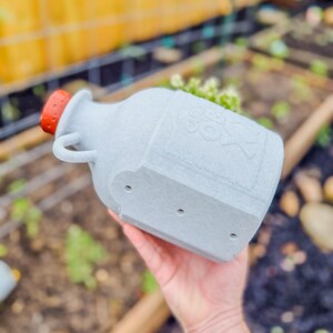 May include: A gray, jug-shaped planter with a red cap. The planter has a handle and the text "CANNON" is visible. The planter is designed with three drainage holes on the bottom. The background shows a garden setting.