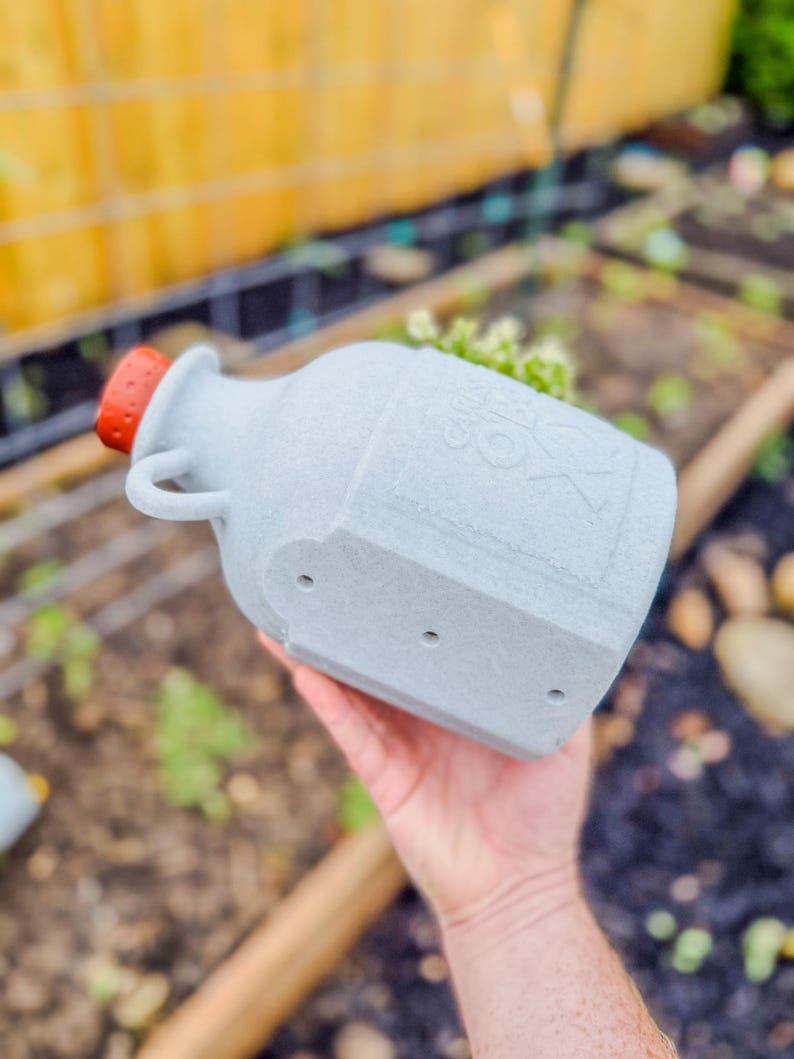 May include: A gray, jug-shaped planter with a red cap. The planter has a handle and the text "CANNON" is visible. The planter is designed with three drainage holes on the bottom. The background shows a garden setting.