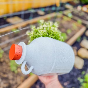 May include: A gray ceramic jug with a handle and an orange stopper, filled with green foliage. The jug has embossed text on the side. The background shows a garden setting with a wooden fence and soil.