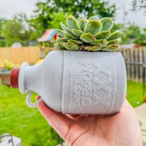 May include: A gray ceramic planter shaped like a jug, with the text "Carl's Jug O'Boom XXX" embossed on the side. The planter holds a green succulent plant. The jug has a red stopper and a small handle.