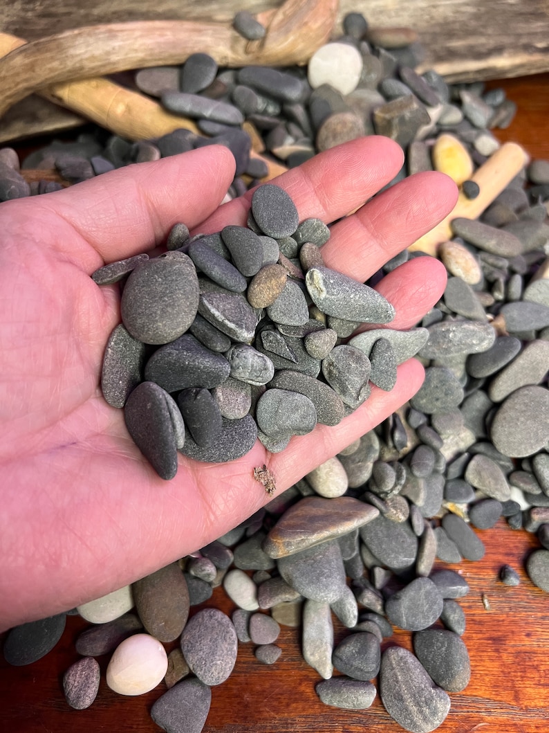 Tiny Ocean Pebbles From Maine Beach Rocks Pebble Art Mosaic Stones - Etsy