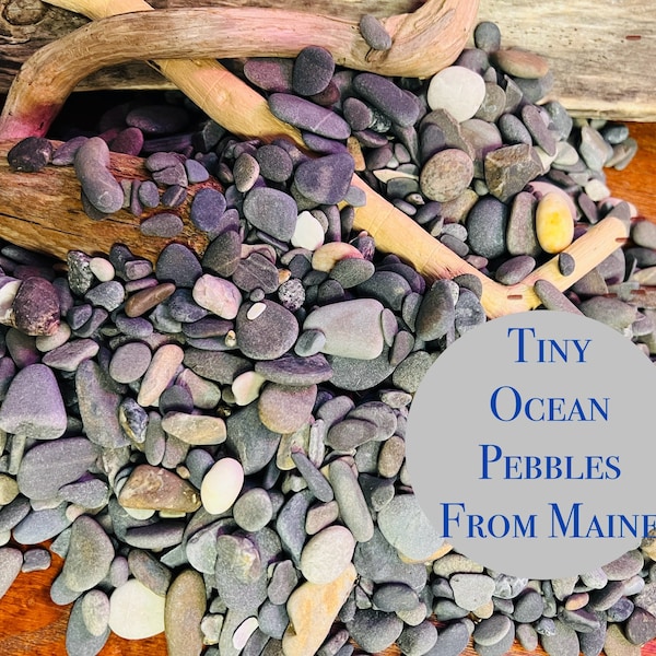 Tiny Ocean Pebbles from Maine  Beach Rocks  Pebble Art   Mosaic Stones