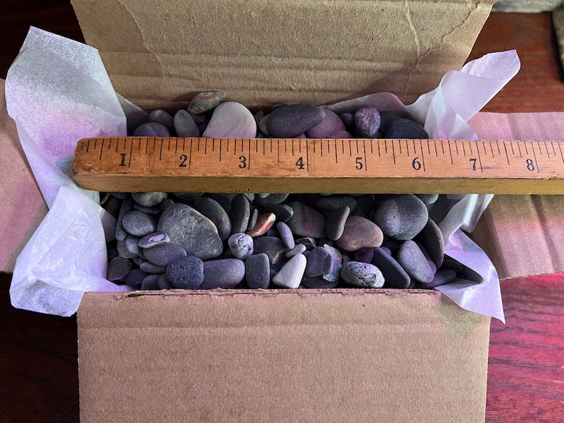 Stone Nature Ruler Tiny Ocean Pebbles From Maine Beach Rocks Pebble Art Mosaic Stones - Etsy