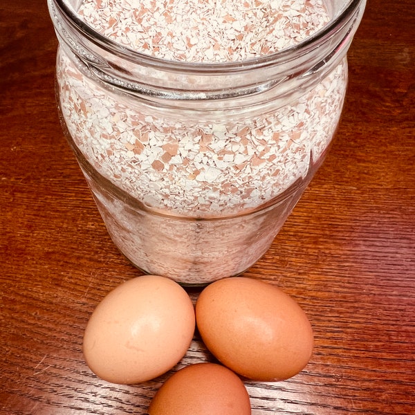 Crushed Egg Shells for Plant/Garden Fertilizer