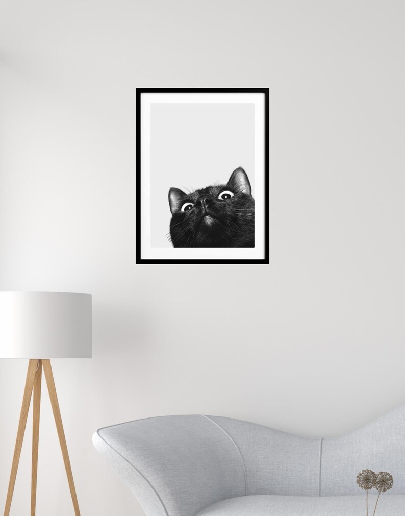 Black Cat Print Wall Art Poster Art Print Cat Wall Decor Wall Art Cat