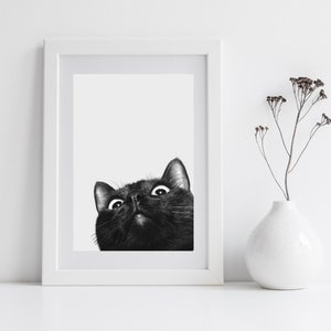 Schwarze Katze Print Wand Kunst Poster | Kunstdruck | Katzen Wanddeko | Wandkunst | Katzenliebhaber Geschenk | Katzenportrait | Kunstdruck | Wohndekor
