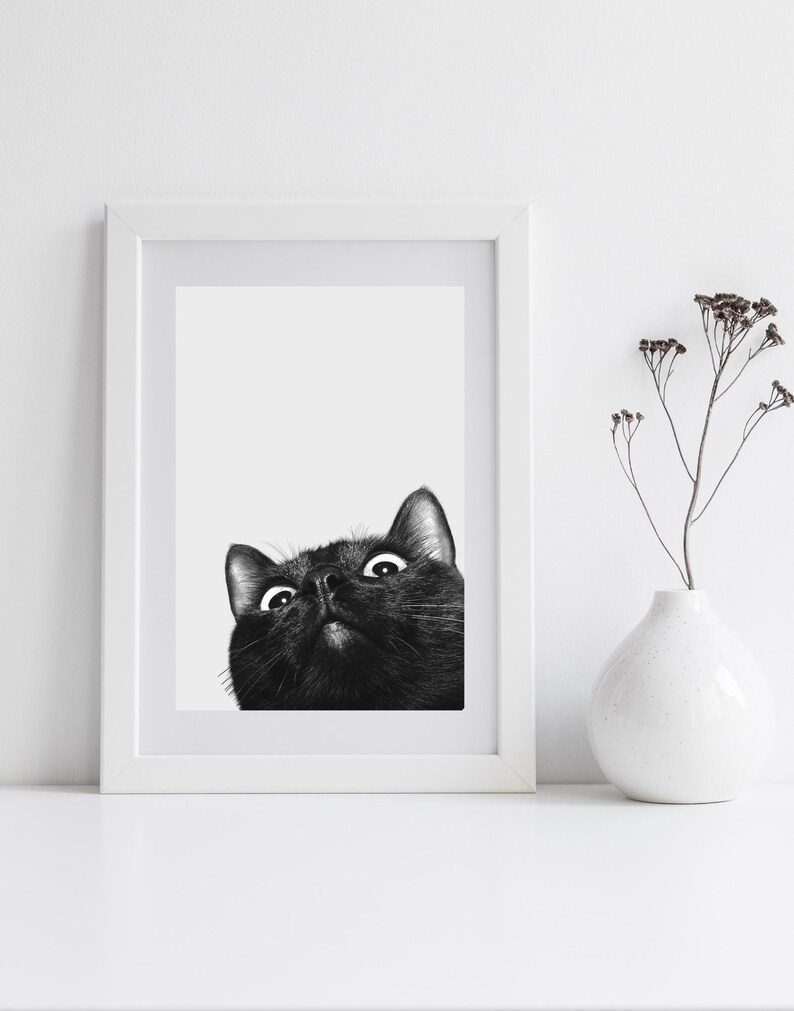 Black Cat Print Wall Art Poster Art Print Cat Wall Decor Wall Art Cat