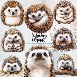 Hedgehog Clipart Bundle | Cute Watercolor Hedgehog PNG | Forest Animal Illustration | Woodland Baby Animal Art | Digital Download