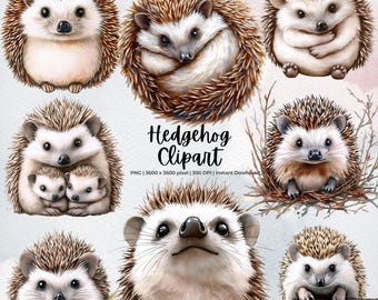 Hedgehog Clipart Bundle | Cute Watercolor Hedgehog PNG | Forest Animal Illustration | Woodland Baby Animal Art | Digital Download