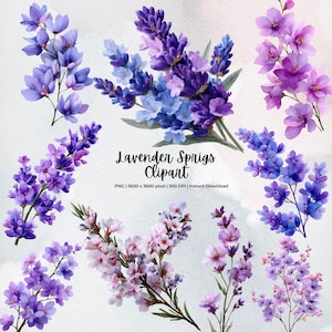 Lavender Sprigs Clipart | Watercolor Purple Flower PNG | Botanical Floral Stems | Wedding Greenery Clip Art | Digital Download