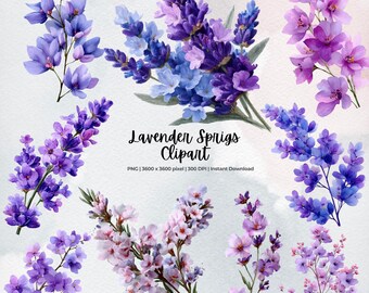 Lavendelkvistar Clipart | Akvarell lila blomma PNG | Botaniska blomstjälkar | Bröllopsgrönt Clip Art | Digital nedladdning